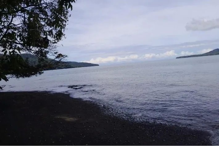 SE VENDE PROPIEDAD DE CASI 12 HECTAREAS (29.65 ACRES) ISLA DE CEBACO, VERAGUAS.