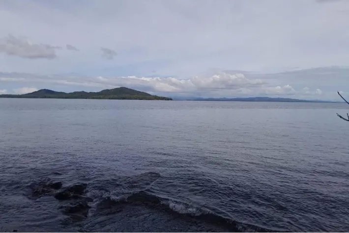 SE VENDE PROPIEDAD DE CASI 12 HECTAREAS (29.65 ACRES) ISLA DE CEBACO, VERAGUAS.