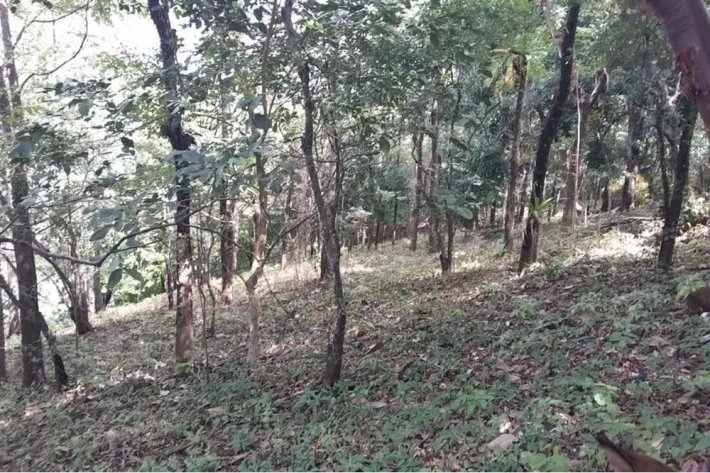 SE VENDE PROPIEDAD DE CASI 12 HECTAREAS (29.65 ACRES) ISLA DE CEBACO, VERAGUAS.