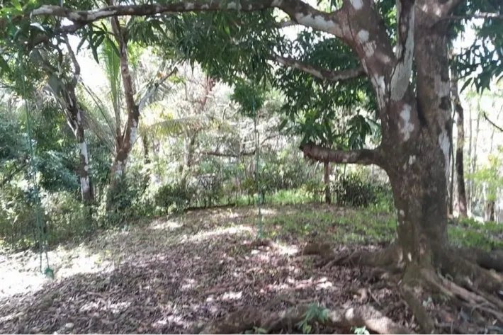 SE VENDE PROPIEDAD DE CASI 12 HECTAREAS (29.65 ACRES) ISLA DE CEBACO, VERAGUAS.