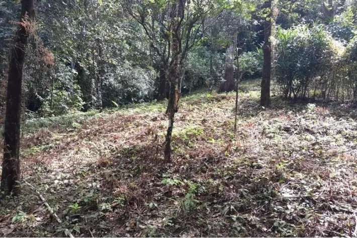 SE VENDE PROPIEDAD DE CASI 12 HECTAREAS (29.65 ACRES) ISLA DE CEBACO, VERAGUAS.