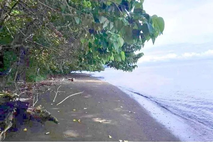 SE VENDE PROPIEDAD DE CASI 12 HECTAREAS (29.65 ACRES) ISLA DE CEBACO, VERAGUAS.