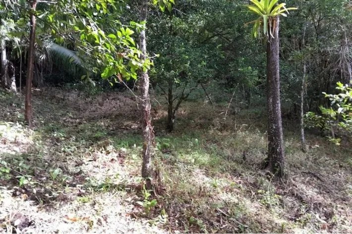 SE VENDE PROPIEDAD DE CASI 12 HECTAREAS (29.65 ACRES) ISLA DE CEBACO, VERAGUAS.
