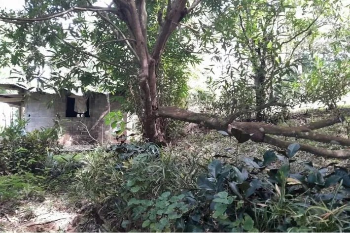 SE VENDE PROPIEDAD DE CASI 12 HECTAREAS (29.65 ACRES) ISLA DE CEBACO, VERAGUAS.