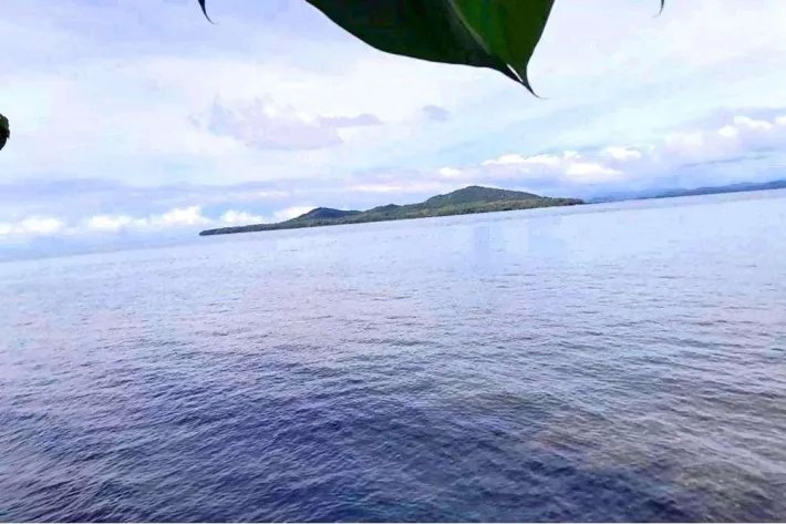 SE VENDE PROPIEDAD DE CASI 12 HECTAREAS (29.65 ACRES) ISLA DE CEBACO, VERAGUAS.