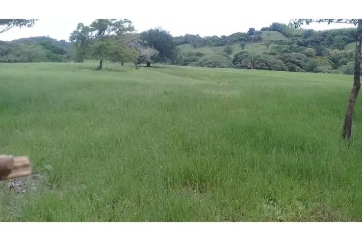 SE VENDE PROPIEDAD DE 120 HECTAREAS (296.52 ACRES) ISLA DE CEBACO, FRENTE AL MAR. VERAGUAS