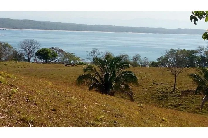 SE VENDE PROPIEDAD DE 120 HECTAREAS (296.52 ACRES) ISLA DE CEBACO, FRENTE AL MAR. VERAGUAS