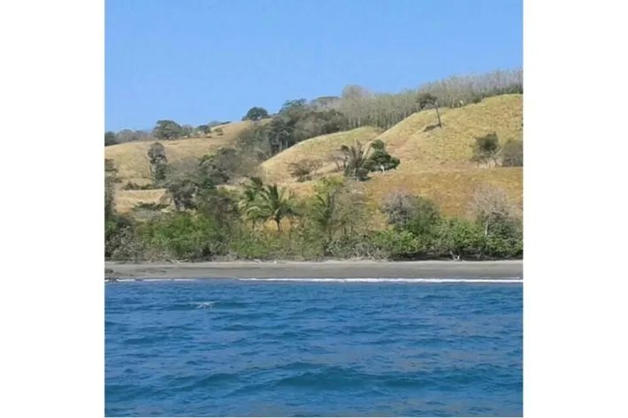 SE VENDE PROPIEDAD DE 120 HECTAREAS (296.52 ACRES) ISLA DE CEBACO, FRENTE AL MAR. VERAGUAS