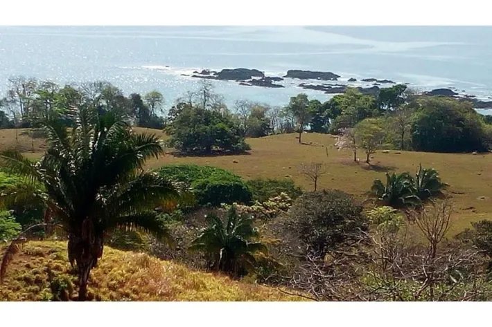 SE VENDE PROPIEDAD DE 120 HECTAREAS (296.52 ACRES) ISLA DE CEBACO, FRENTE AL MAR. VERAGUAS