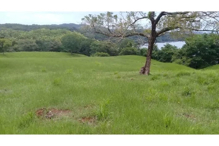 SE VENDE PROPIEDAD DE 120 HECTAREAS (296.52 ACRES) ISLA DE CEBACO, FRENTE AL MAR. VERAGUAS