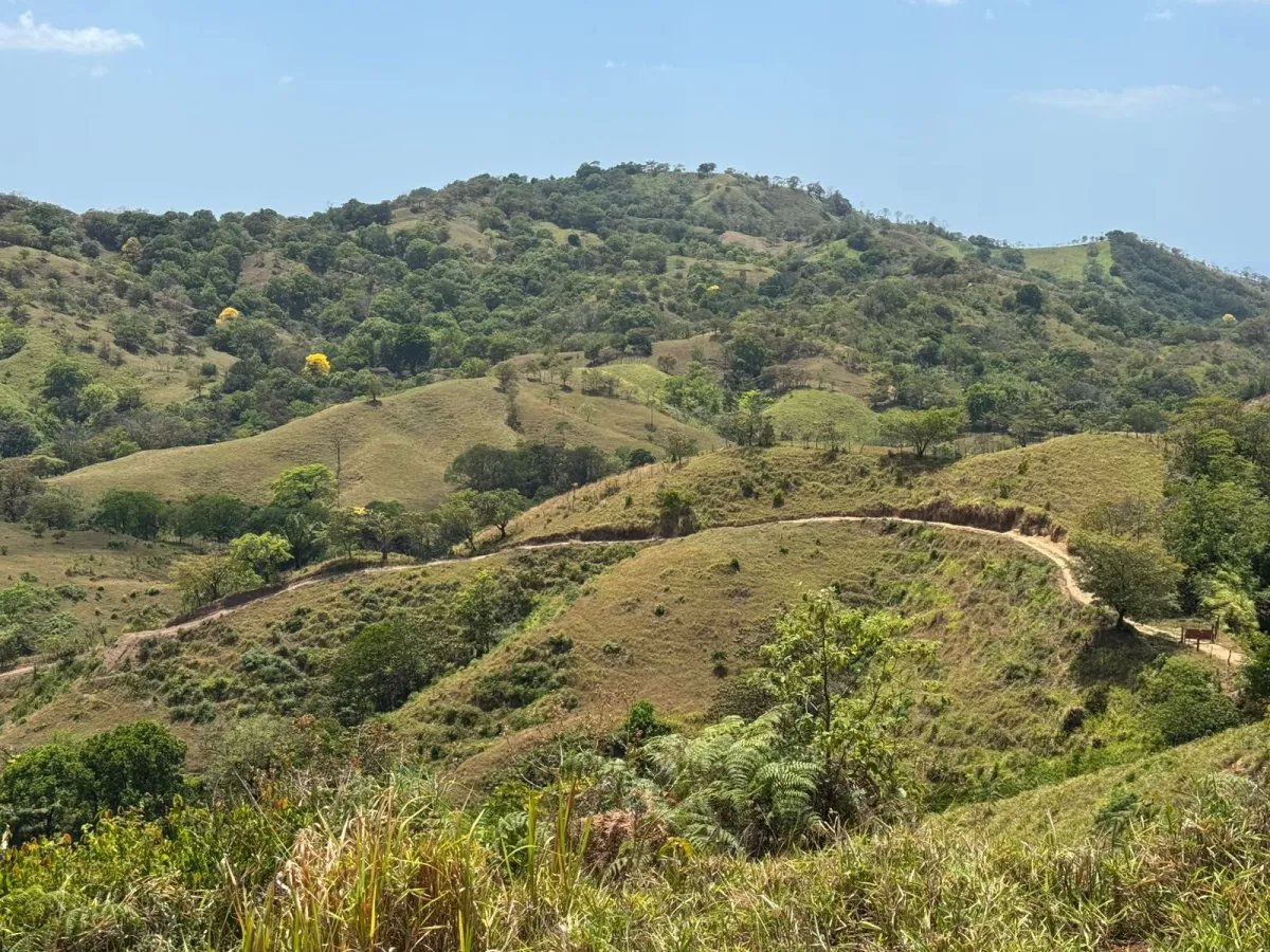 37 Hectáreas con Vista al Mar y Montañas – Filipinas, Quebro, Veraguas