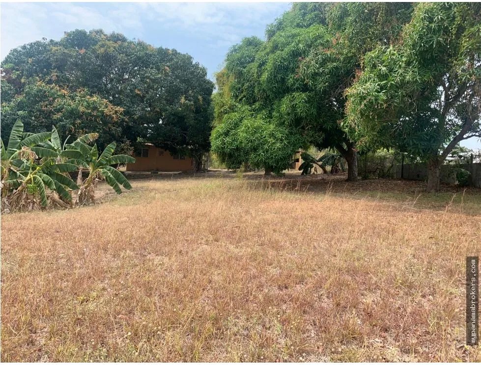 Land Las Guias de Oriente