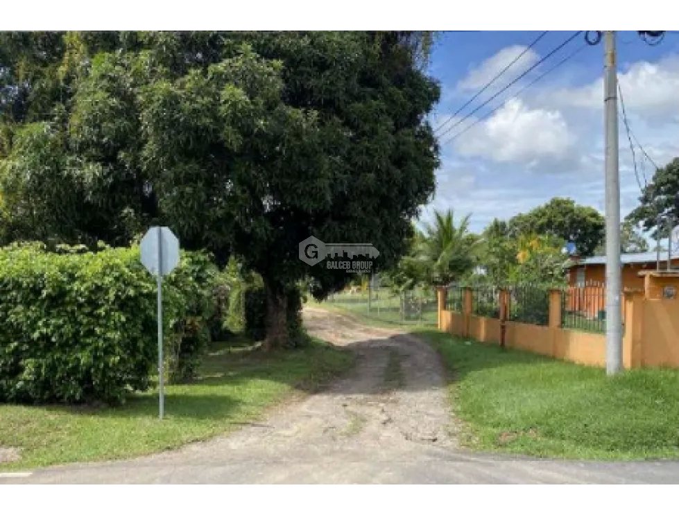COCLE / LAS GUIAS / 40 HECTARES / COMMERCIAL USE / ON THE HIGHWAY / AG