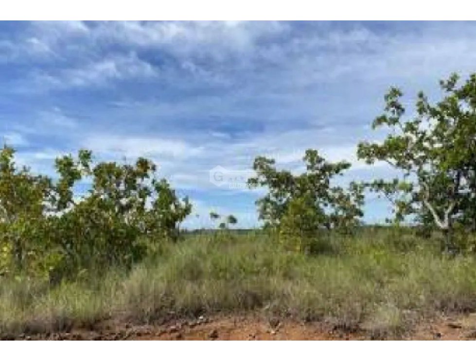 COCLE / LAS GUIAS / 40 HECTAREAS / USO COMERCIAL / SOBRE LA VIA / AG