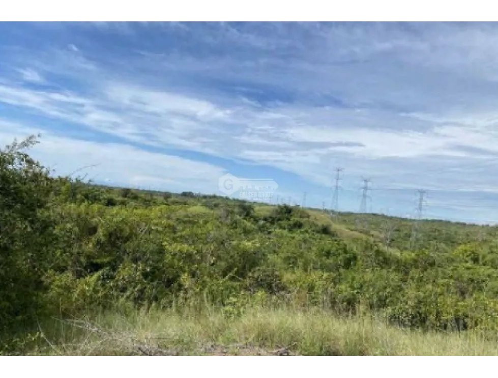 COCLE / LAS GUIAS / 40 HECTAREAS / USO COMERCIAL / SOBRE LA VIA / AG