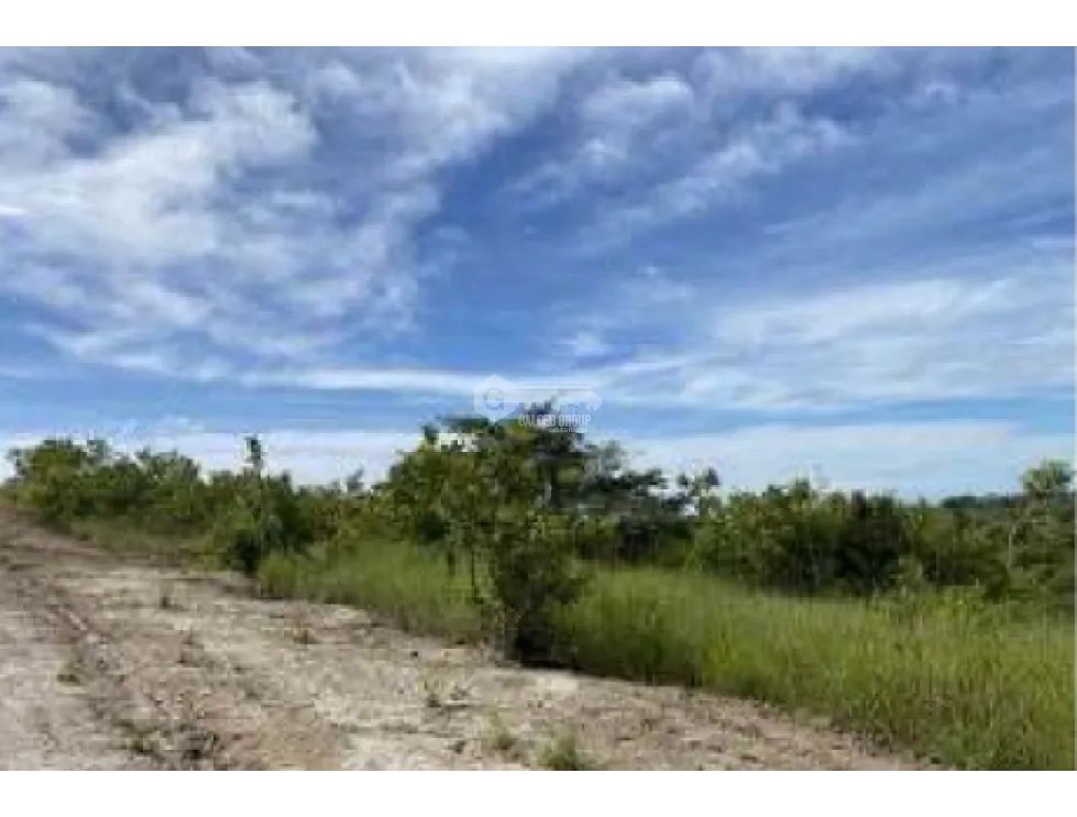 COCLE / LAS GUIAS / 40 HECTAREAS / USO COMERCIAL / SOBRE LA VIA / AG