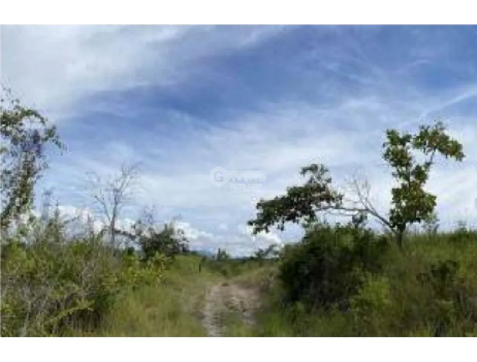 COCLE / LAS GUIAS / 40 HECTAREAS / USO COMERCIAL / SOBRE LA VIA / AG