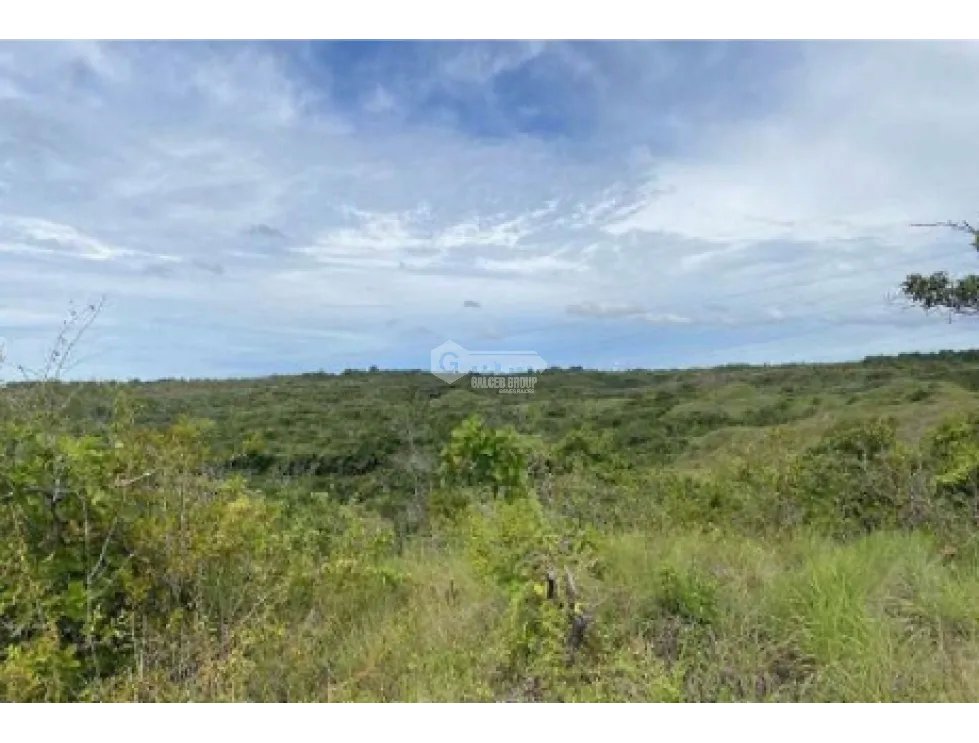 COCLE / LAS GUIAS / 40 HECTAREAS / USO COMERCIAL / SOBRE LA VIA / AG