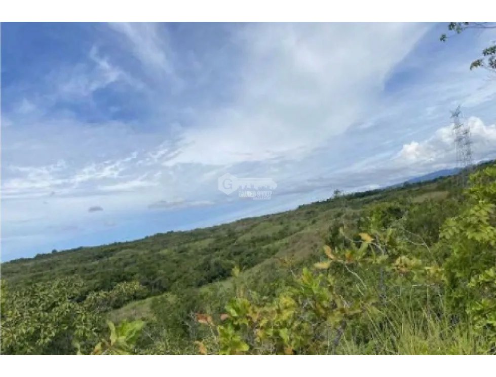 COCLE / LAS GUIAS / 40 HECTAREAS / USO COMERCIAL / SOBRE LA VIA / AG
