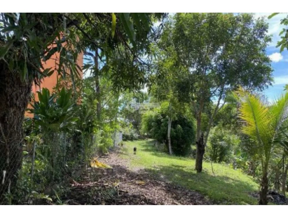 COCLE / LAS GUIAS / 40 HECTAREAS / USO COMERCIAL / SOBRE LA VIA / AG