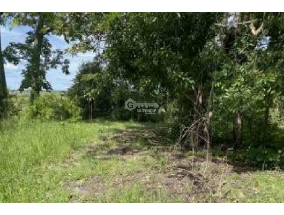COCLE / LAS GUIAS / 40 HECTAREAS / USO COMERCIAL / SOBRE LA VIA / AG