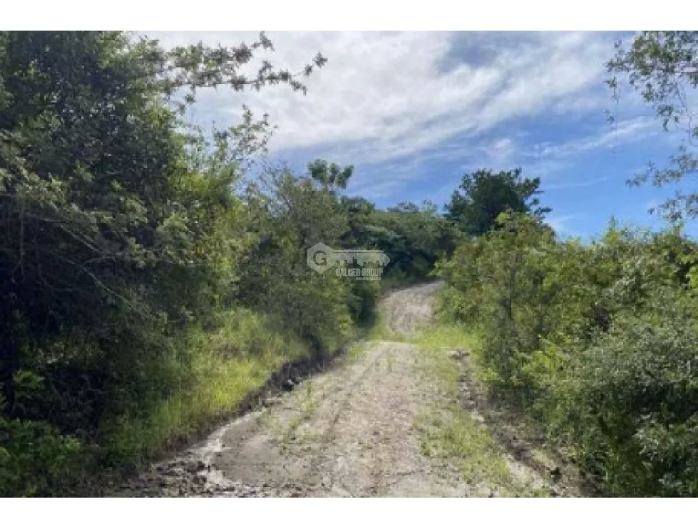 COCLE / LAS GUIAS / 40 HECTAREAS / USO COMERCIAL / SOBRE LA VIA / AG