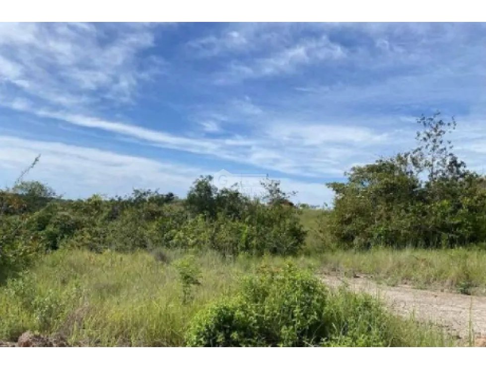 COCLE / LAS GUIAS / 40 HECTAREAS / USO COMERCIAL / SOBRE LA VIA / AG