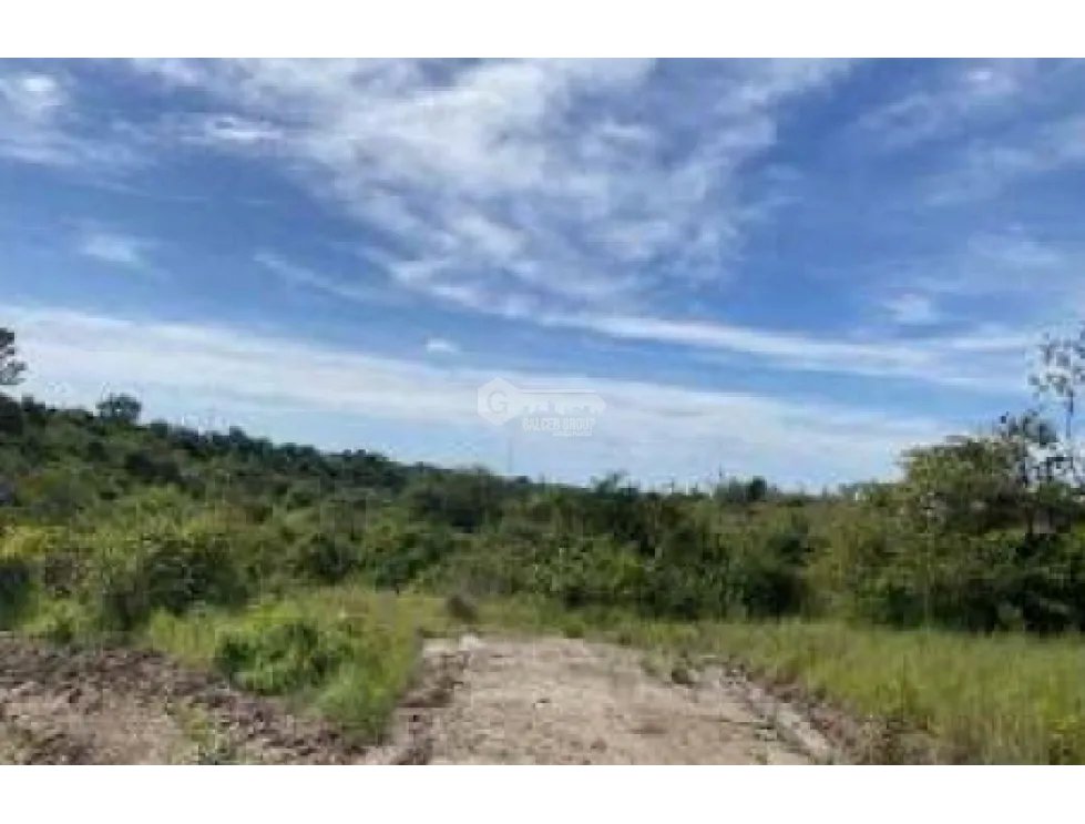 COCLE / LAS GUIAS / 40 HECTAREAS / USO COMERCIAL / SOBRE LA VIA / AG