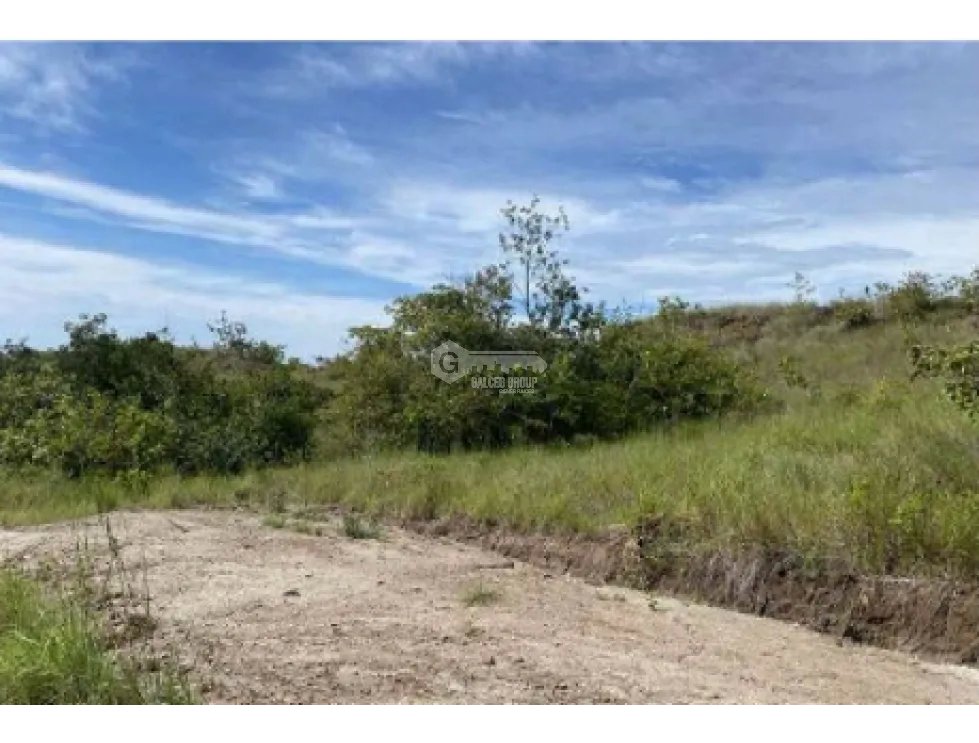 COCLE / LAS GUIAS / 40 HECTAREAS / USO COMERCIAL / SOBRE LA VIA / AG