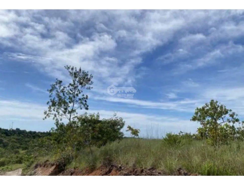 COCLE / LAS GUIAS / 40 HECTAREAS / USO COMERCIAL / SOBRE LA VIA / AG
