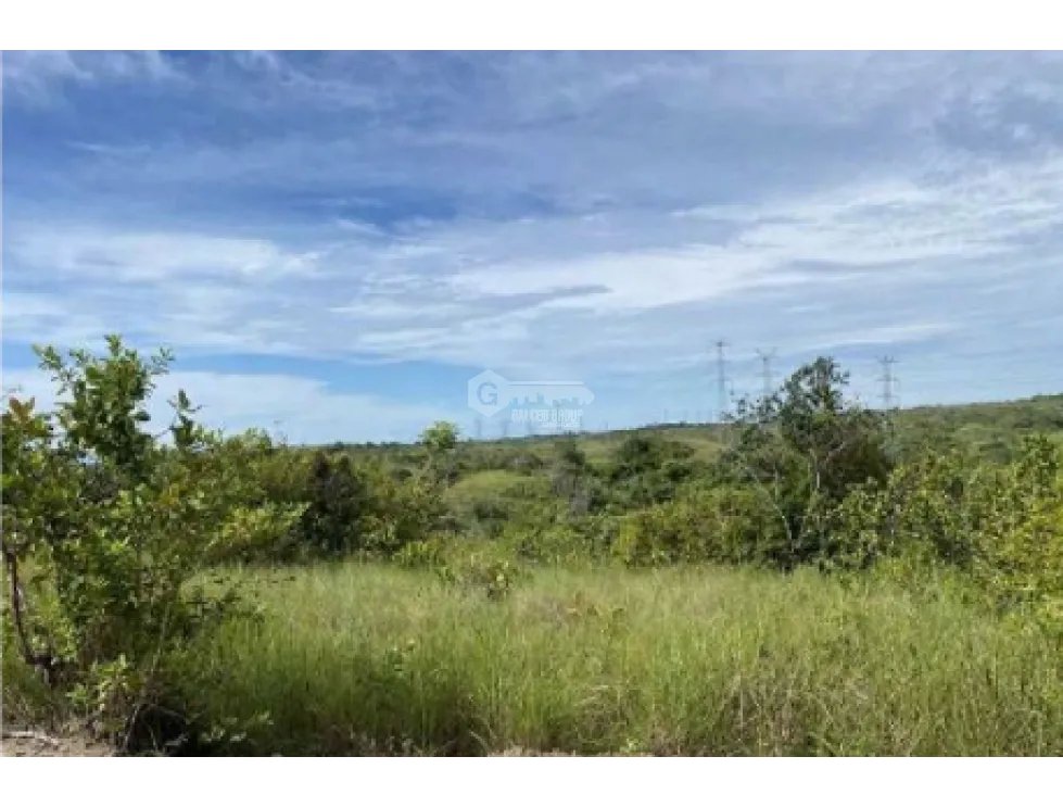 COCLE / LAS GUIAS / 40 HECTAREAS / USO COMERCIAL / SOBRE LA VIA / AG