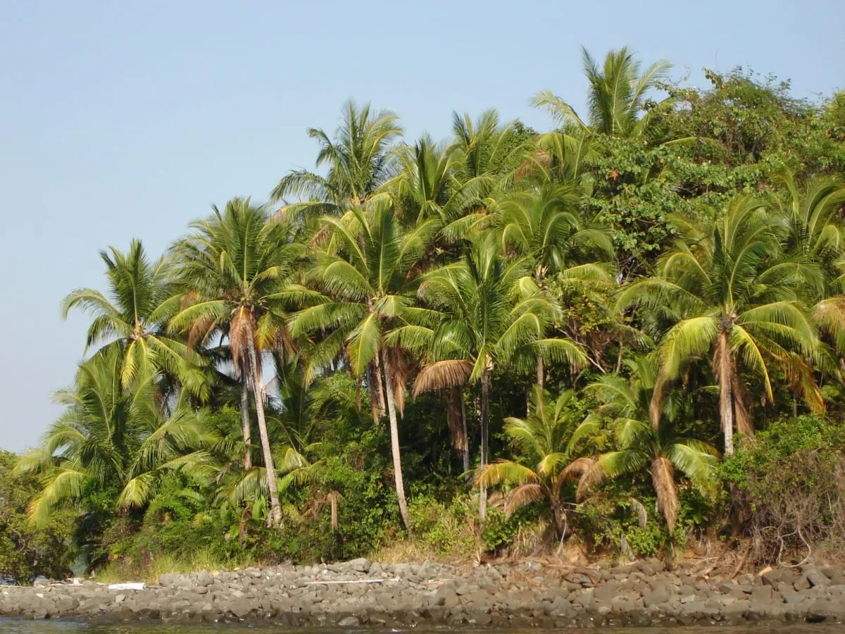 Private Island for Sale – Isla Quirós, Pearl Islands, Panama