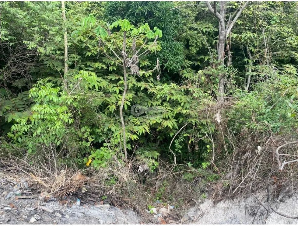 LAS GUIAS / COCLE / 8244 M / NEAR PANAMERICANA / BEACH PROPERTY