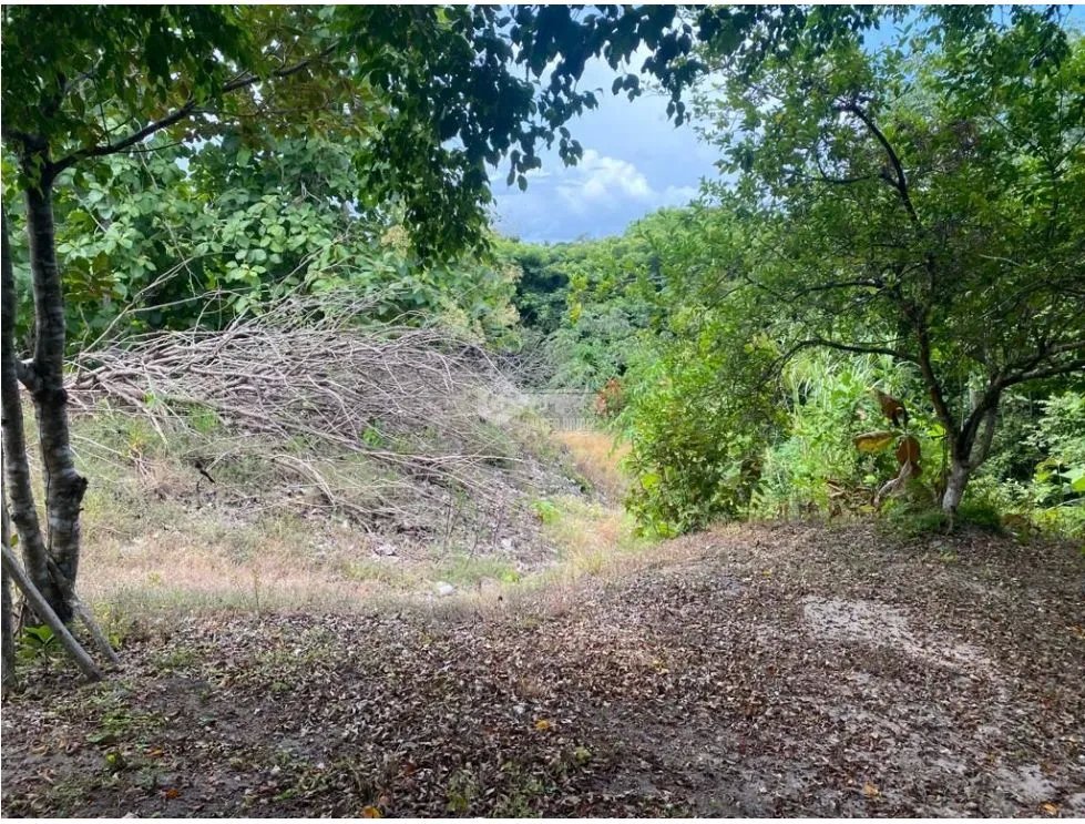 LAS GUIAS / COCLE / 8244 M / NEAR PANAMERICANA / BEACH PROPERTY