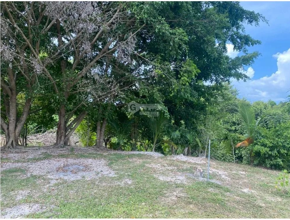 LAS GUIAS / COCLE / 8244 M / NEAR PANAMERICANA / BEACH PROPERTY