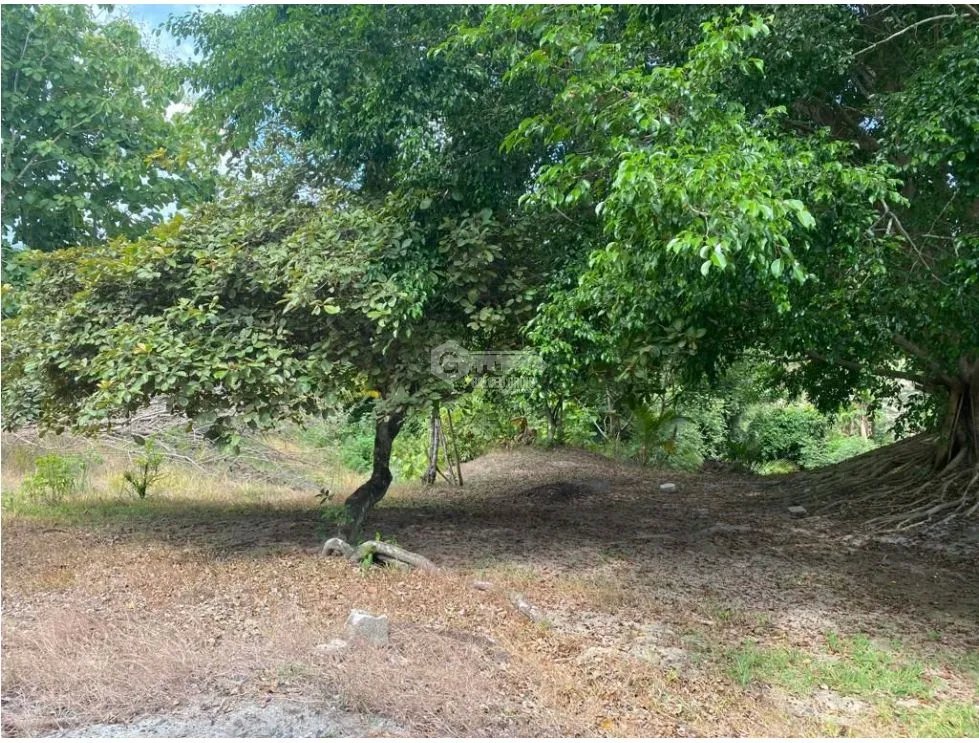LAS GUIAS / COCLE / 8244 M / NEAR PANAMERICANA / BEACH PROPERTY