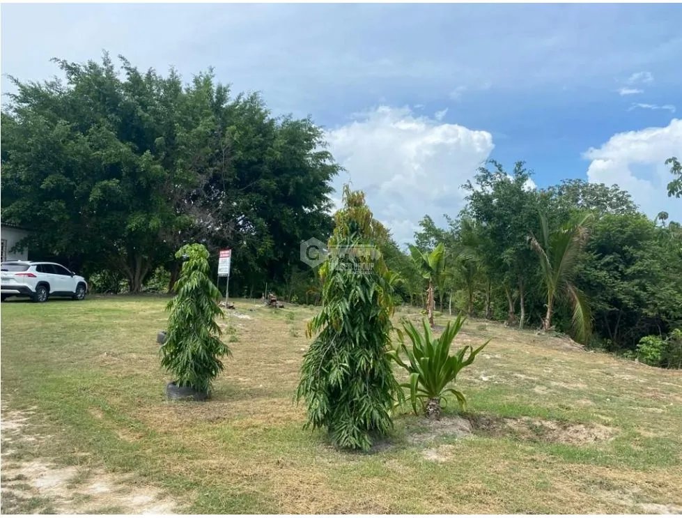 LAS GUIAS / COCLE / 8244 M / NEAR PANAMERICANA / BEACH PROPERTY