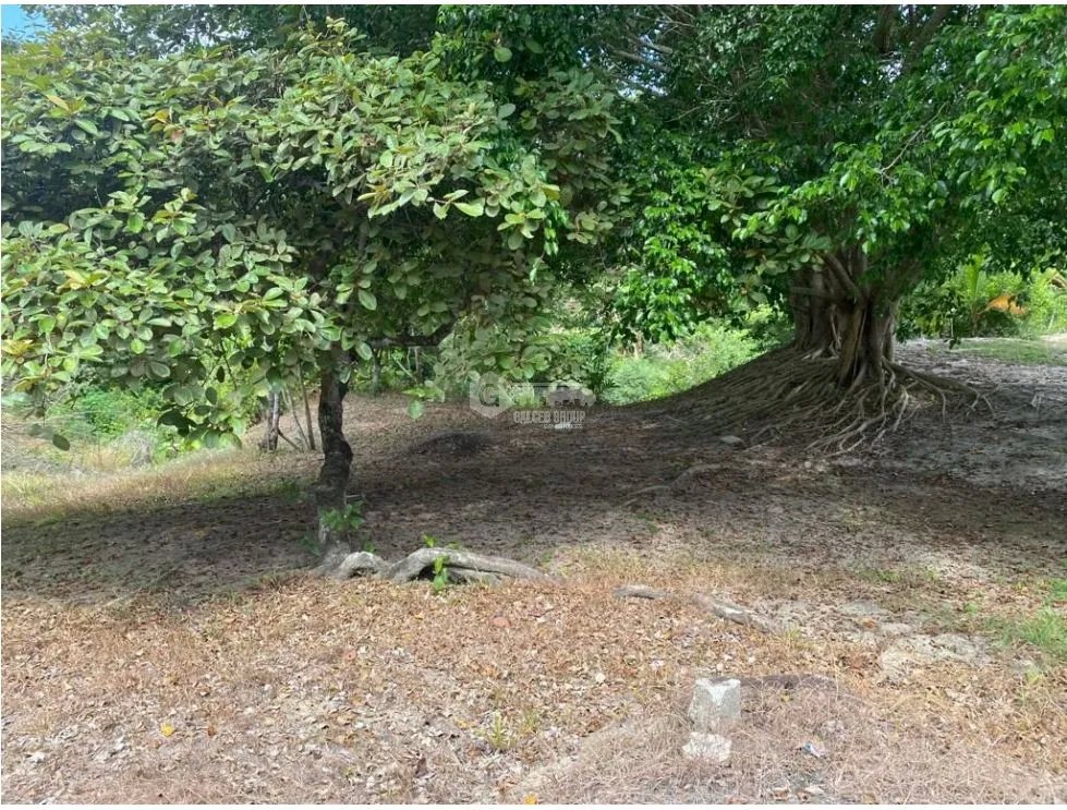 LAS GUIAS / COCLE / 8244 M / NEAR PANAMERICANA / BEACH PROPERTY