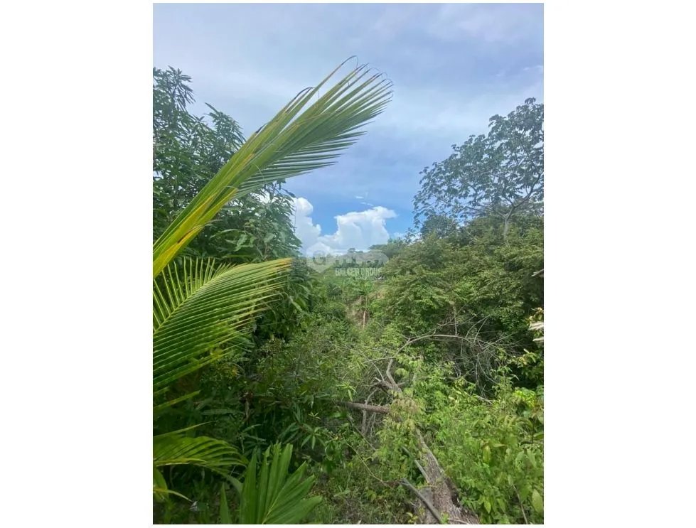 LAS GUIAS / COCLE / 8244 M / NEAR PANAMERICANA / BEACH PROPERTY