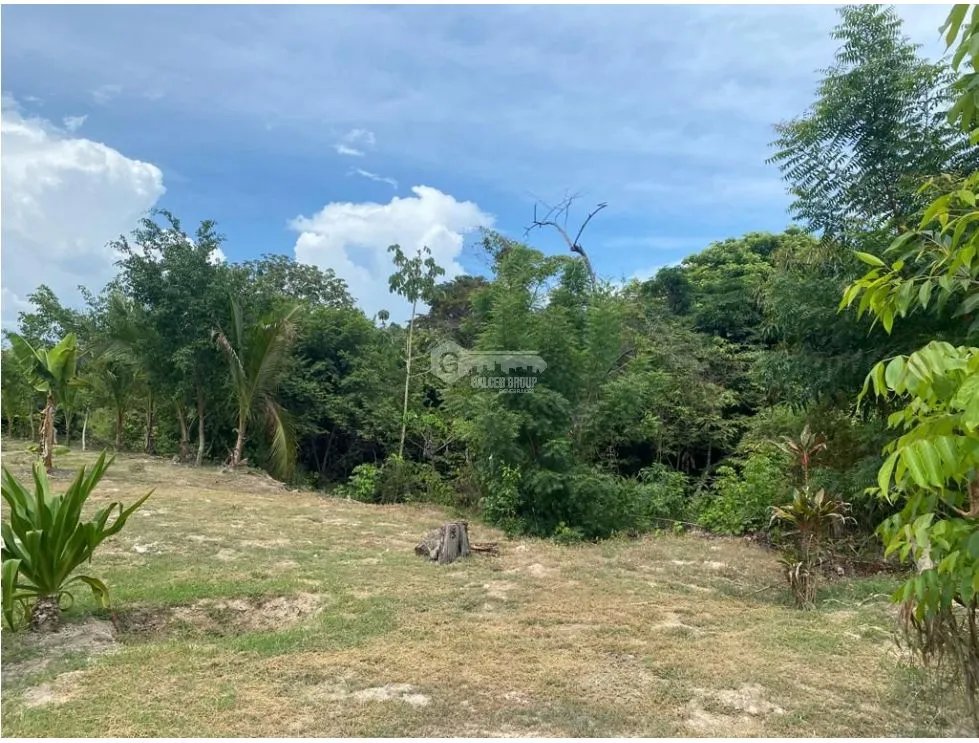 LAS GUIAS / COCLE / 8244 M / NEAR PANAMERICANA / BEACH PROPERTY