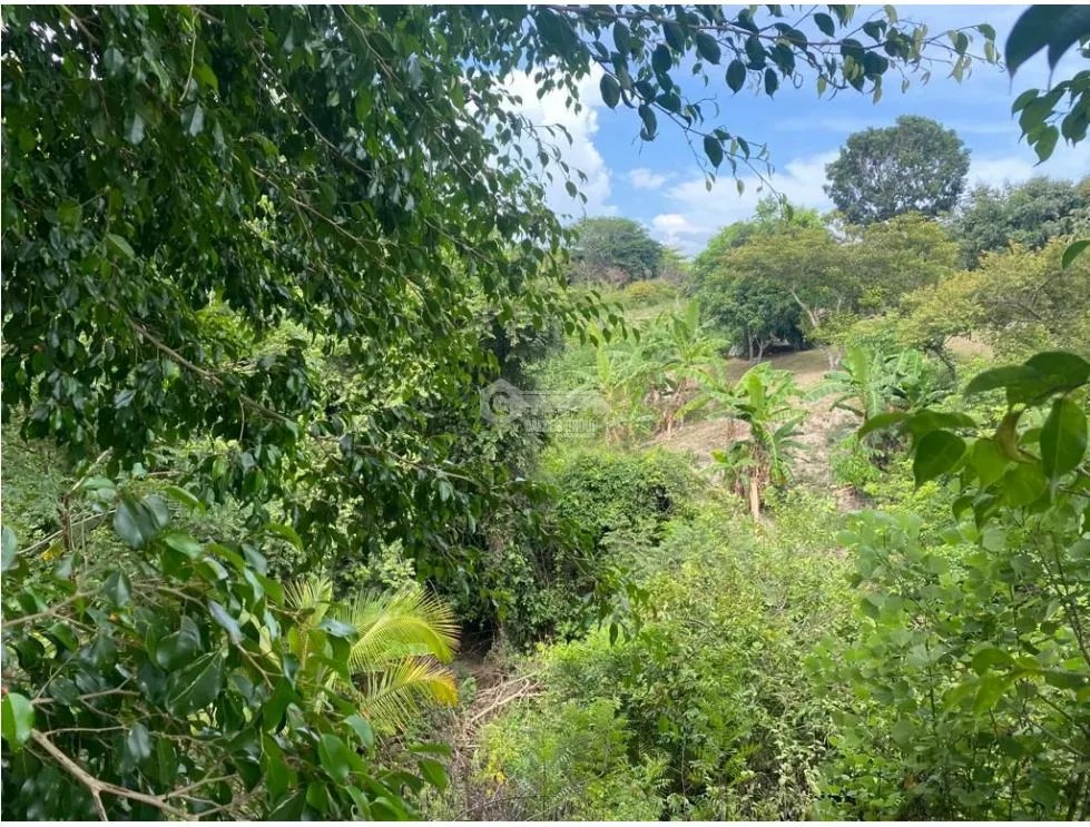 LAS GUIAS / COCLE / 8244 M / NEAR PANAMERICANA / BEACH PROPERTY