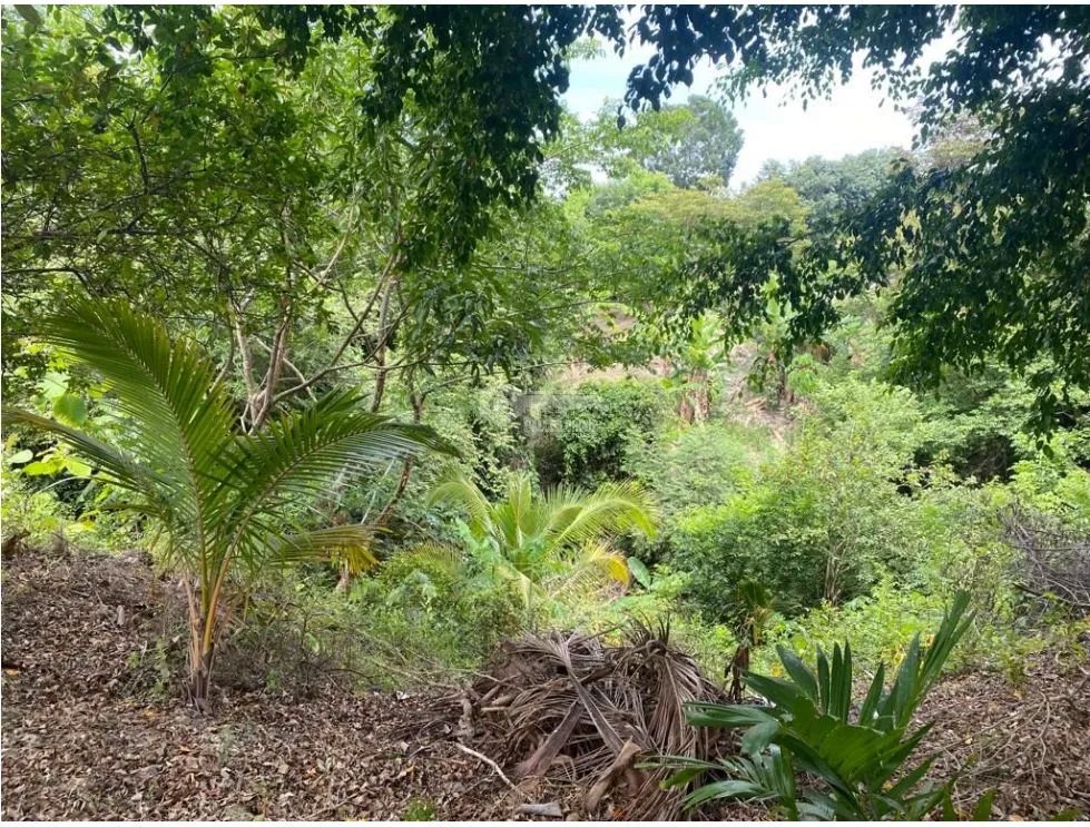LAS GUIAS / COCLE / 8244 M / NEAR PANAMERICANA / BEACH PROPERTY