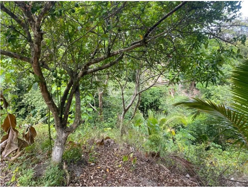 LAS GUIAS / COCLE / 8244 M / NEAR PANAMERICANA / BEACH PROPERTY