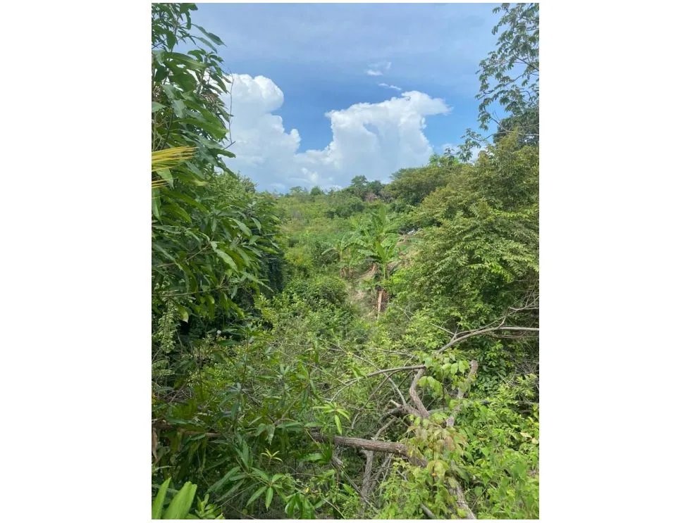 LAS GUIAS / COCLE / 8244 M / NEAR PANAMERICANA / BEACH PROPERTY