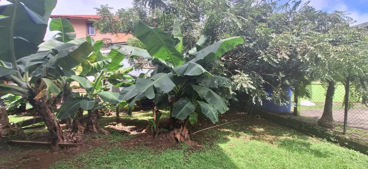 Casa en venta en Nuevo Cristóbal, Colón, Panamá