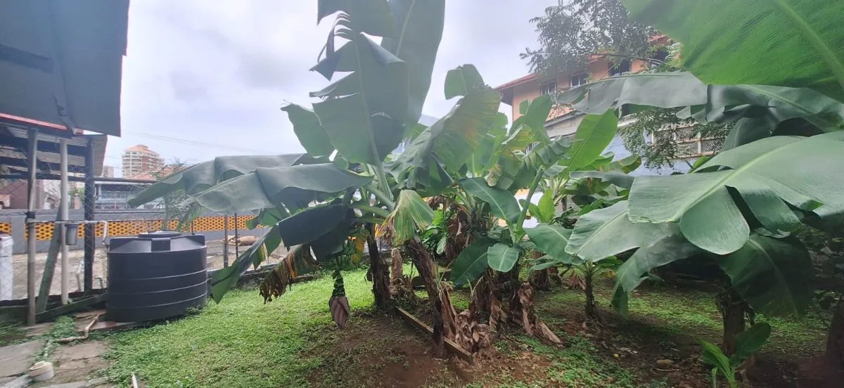 Casa en venta en Nuevo Cristóbal, Colón, Panamá