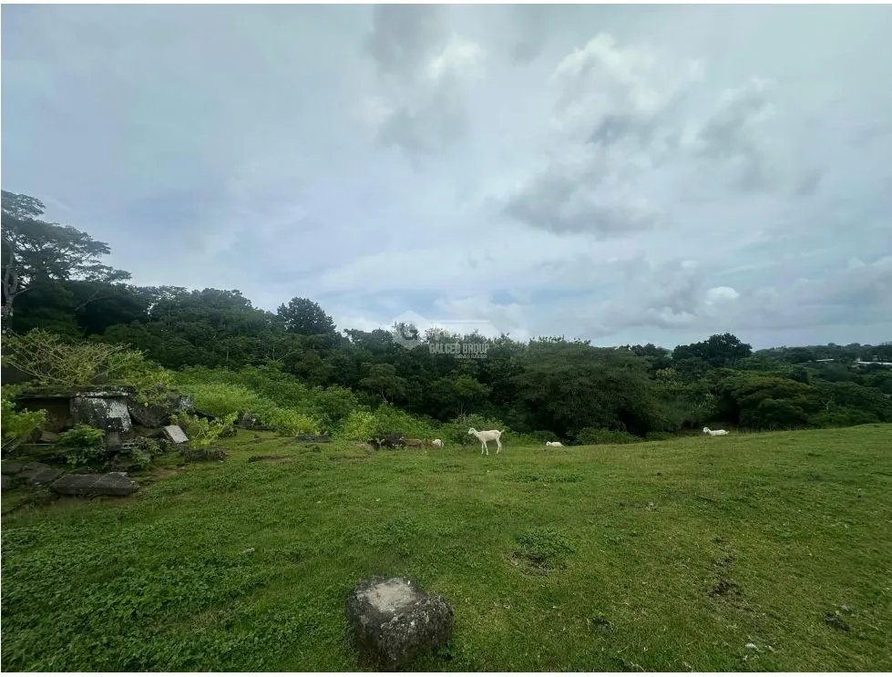 LAND FOR SALE LAS CUMBRES 7603M INVESTMENT SPACIOUS WITH GREEN AREAS