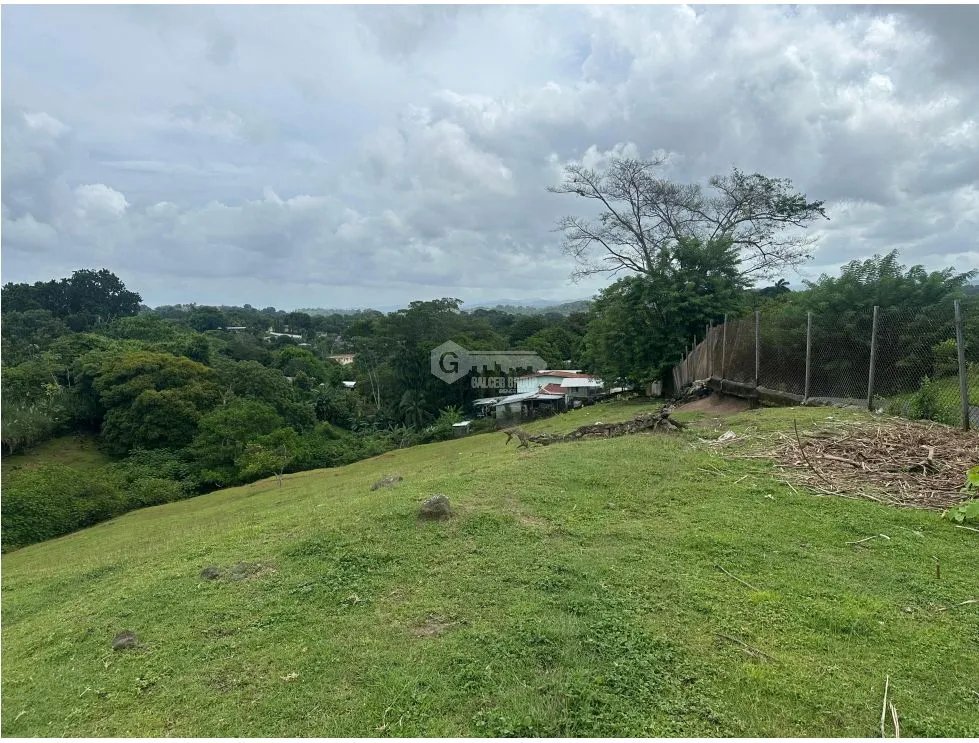 LAND FOR SALE LAS CUMBRES 7603M INVESTMENT SPACIOUS WITH GREEN AREAS