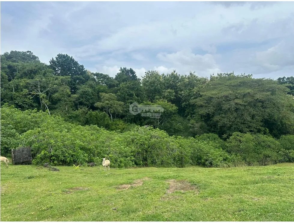 LAND FOR SALE LAS CUMBRES 7603M INVESTMENT SPACIOUS WITH GREEN AREAS
