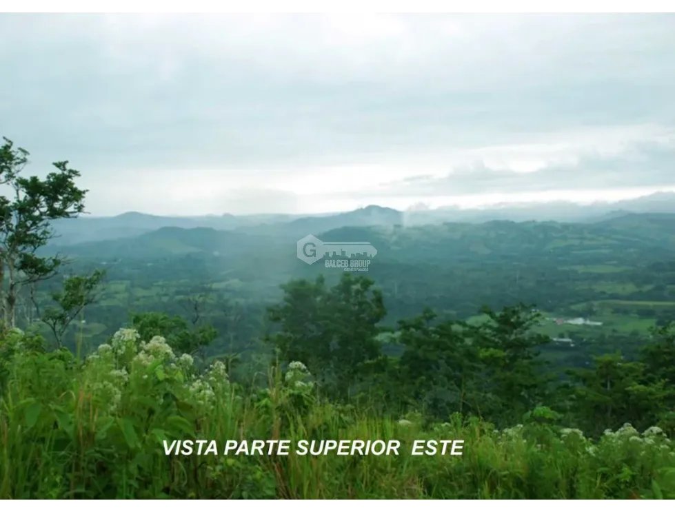 CAPIRA / CERMEÑO / 6 HECTAREAS / BOSQUES / SENDEROS / OJOS DE AGUA